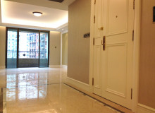 The Palace Apartment