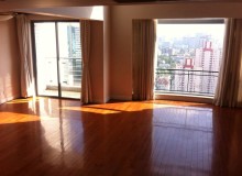 Penthouse apartment rent in The Summit of French Concession