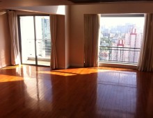 Penthouse apartment rent in The Summit of French Concession