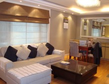 rent apartment regency park near Century Park Pudong Shanghai