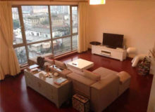 Shangahi 3BR Apartment with terrace rent in Lakeville of Xintiandi