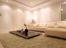 Top of City Apartment Living Room