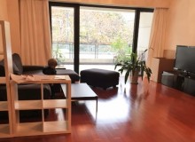 Casa Lakeville 2BR Apartment with terrace