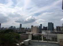 penthouse apartment with roof terrace in French Concession 5bedrooms