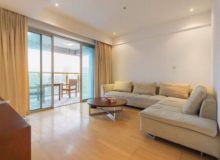 经典茂名 Apartment for rent in shanghai Crystal Pavilion