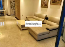 apartment to rent near Pudong Century Park