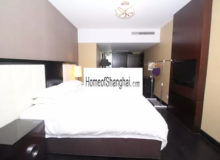 Shanghai Acme Serviced Apartments to rent near West Nanjing road