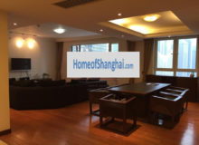 Apartment rent for expats housing in shanghai pudong Lujiazui Skyline mansion
