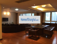 Apartment rent for expats housing in shanghai pudong Lujiazui Skyline mansion