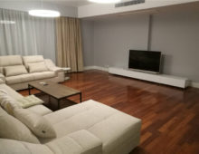 Rent apartment in Shanghai French Concession Chevalier flat