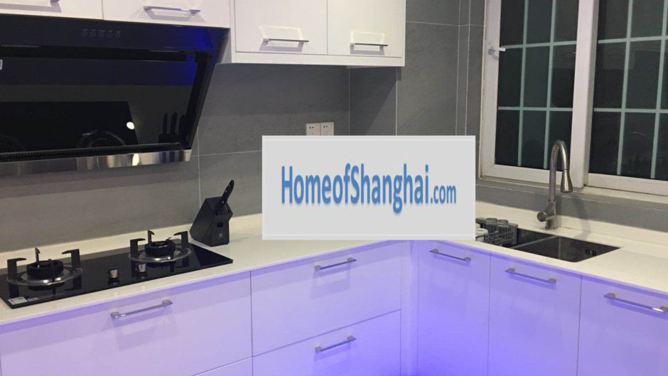 rent apartment Hongqiao Gubei Penthouse Shanghai SCIS 