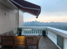 apartment to rent near century park Pudong Shanghai
