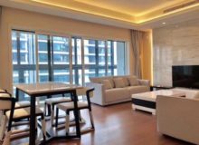 Crystal Plaza Residences Apartment rent near Wellington school Shanghai