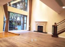 Shanghai Luxury Apartment in Summit to Rent in French Concession